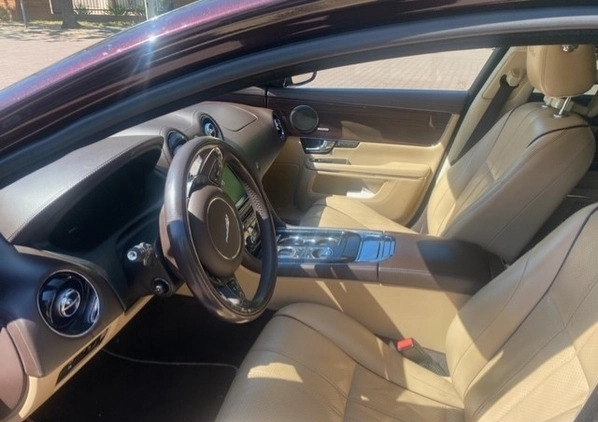 Jaguar XJ cena 48000 przebieg: 231000, rok produkcji 2010 z Radom małe 154